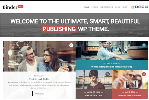 binder pro wordpress theme for affiliate marketing