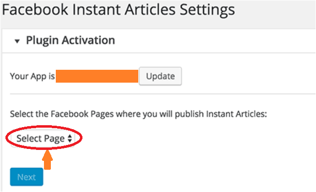 Select the facebook page where you will publish instant article