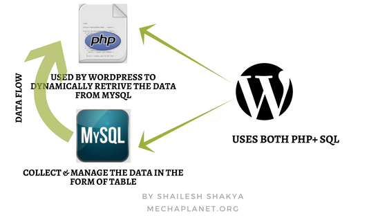 how wordpress use MYSQL and PHP