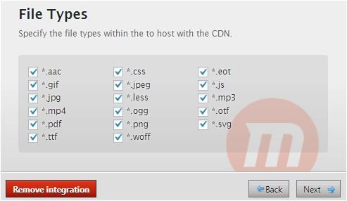 file types within the to host with CDN in WP fastest cache