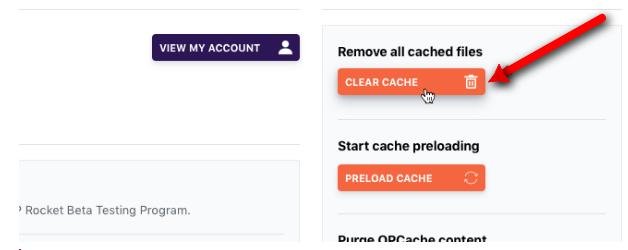 How to clear your WordPress cache using WP rocket
