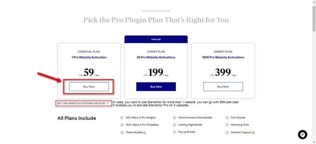 Elementor Plugin Pricing_ Find The Right Plan For You